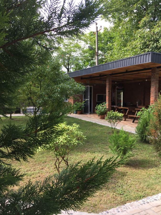 Guest House Shekvetili Bagian luar foto