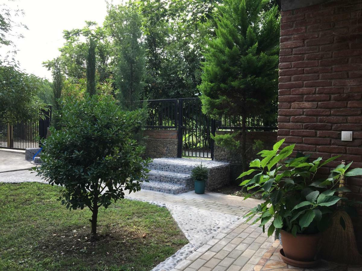 Guest House Shekvetili Bagian luar foto